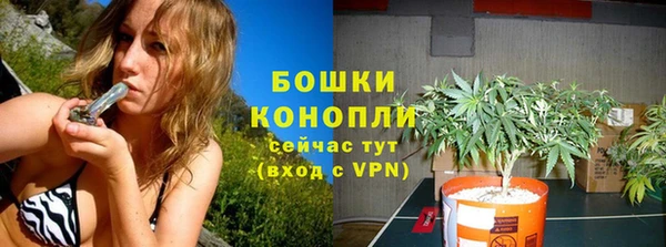 ешки Нижний Тагил