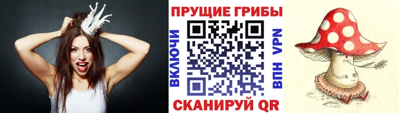Галлюциногенные грибы прущие грибы  Лесозаводск 