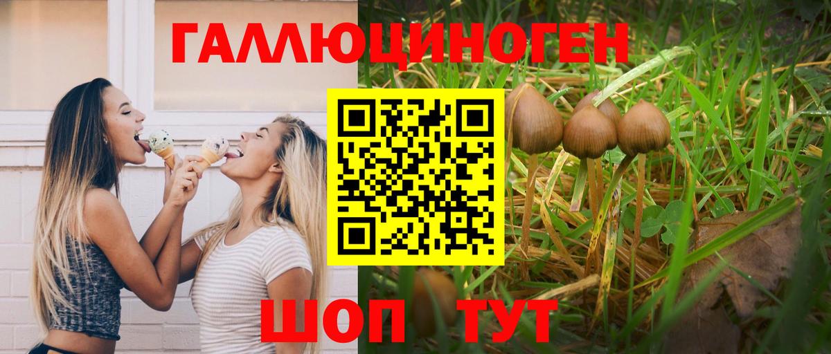 Псилоцибиновые грибы мухоморы Лесозаводск