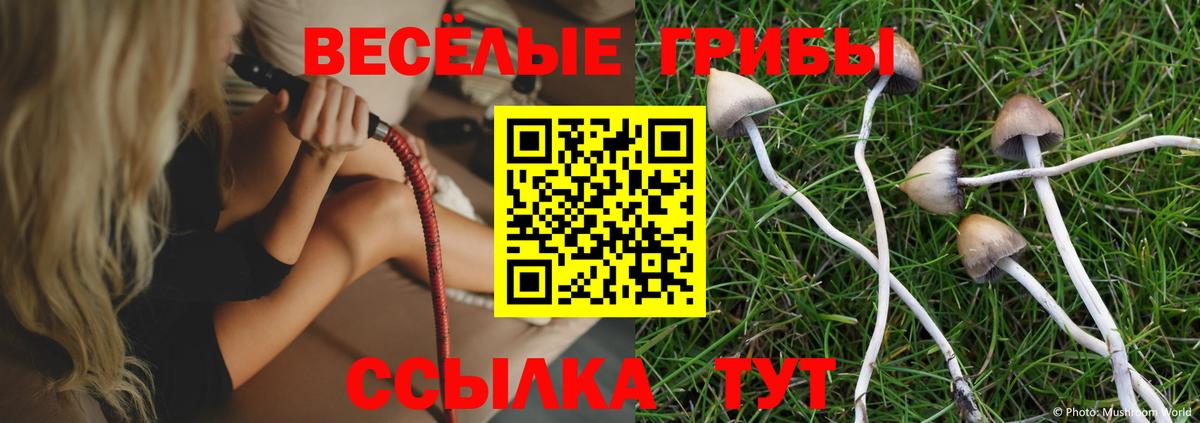 Псилоцибиновые грибы мухоморы  Псилоцибиновые грибы Psilocybe  Лесозаводск  Вход с VPN 